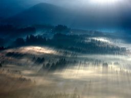 Forests Drenched in Light and Fog by Boguslaw Strempel